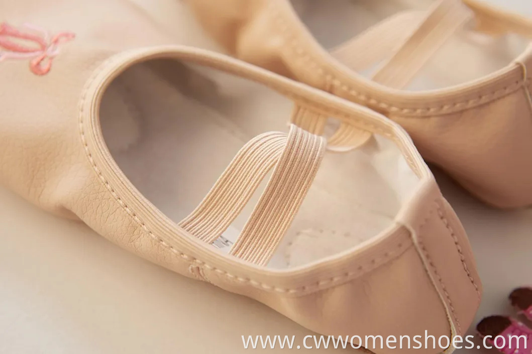 Stylish E5013 Canvas Split Sole Ballet Dance Shoes for Women